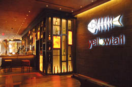 Yellowtail